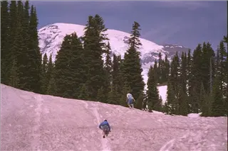 small_9400 1231 cew seattle etcIMG0064.webp